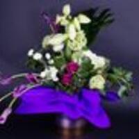 Наші вітання з 70 – річним ювілеєм шановному Миколі Копиці!